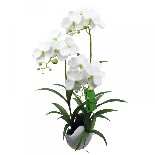 Supergreens Τεχνητό Φυτό Ορχιδέα Phalaenopsis Λευκό 57 εκ.
