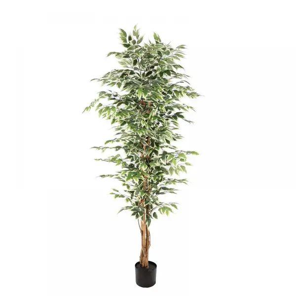 Supergreens Τεχνητό Δέντρο Φίκος "Benjamina Variegata" Πράσινο 180 εκ.