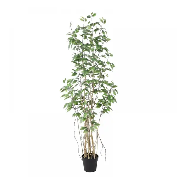 Supergreens Τεχνητό Δέντρο Φίκος "Ginseng" Πράσινο 170 εκ.