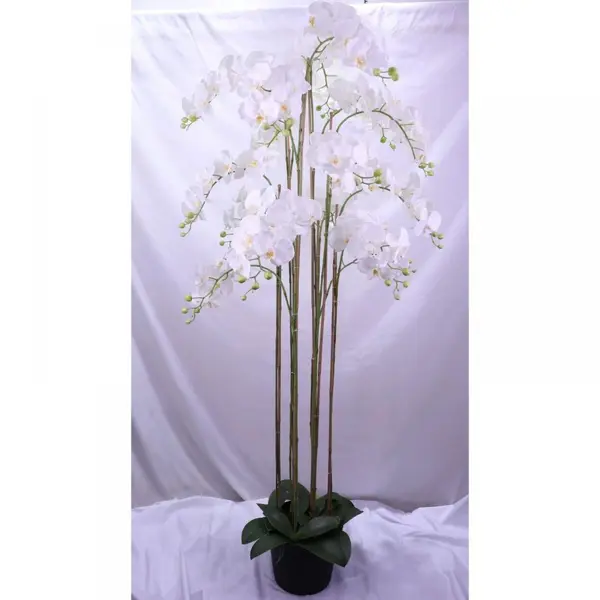 Supergreens Τεχνητό Φυτό Ορχιδέα Phalaenopsis Λευκό 180 εκ.
