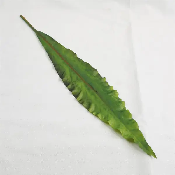 Supergreens Τεχνητό Φύλλο Φτέρη "Asplenium" Πράσινο 86 εκ.