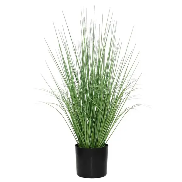 ONION GRASS TREE  NP1009_60 ΥΨΟΣ 60cm