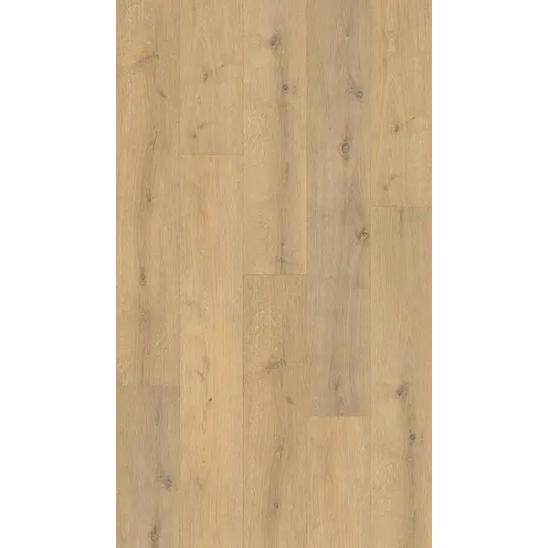 BASIC LVT ΒΙΝΥΛΙΚΗ ΛΩΡΙΔΑ 2mm ELITE OAK 154649