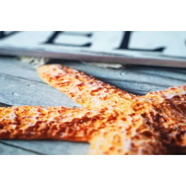 Ποδόμακτρο Gallery 007 Welcome Star 45cm x 75cm