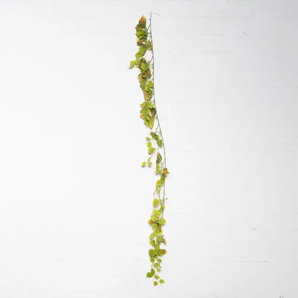 Supergreens Τεχνητή Γιρλάντα Σφένδαμος "Platanoides" Πράσινη 180 εκ.