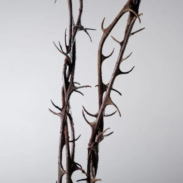 Supergreens Τεχνητή Γιρλάντα Κορμός Καφέ106 εκ.