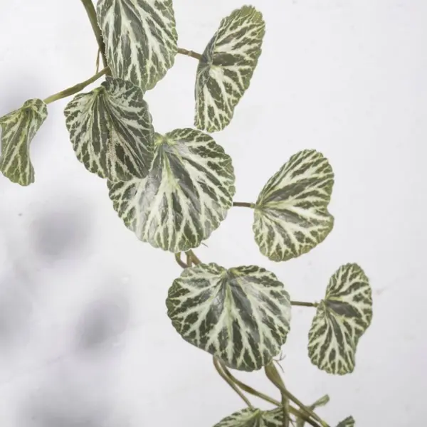 Supergreens Τεχνητή Γιρλάντα Σαξιφράγκα Sarmentosa Πράσινο 168 εκ.