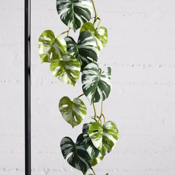 Supergreens Tεχνητή Γιρλάντα Μονστέρα Albo Variegata 170 εκ.