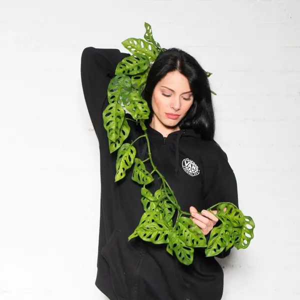 Supergreens Τεχνητή Γιρλάντα Μονστέρα "Minima" Πράσινη 115 εκ.