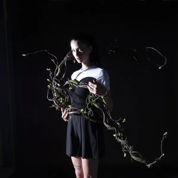 Supergreens Τεχνητή Γιρλάντα Αποξηραμένο Κλαδί Καφέ 200 εκ.