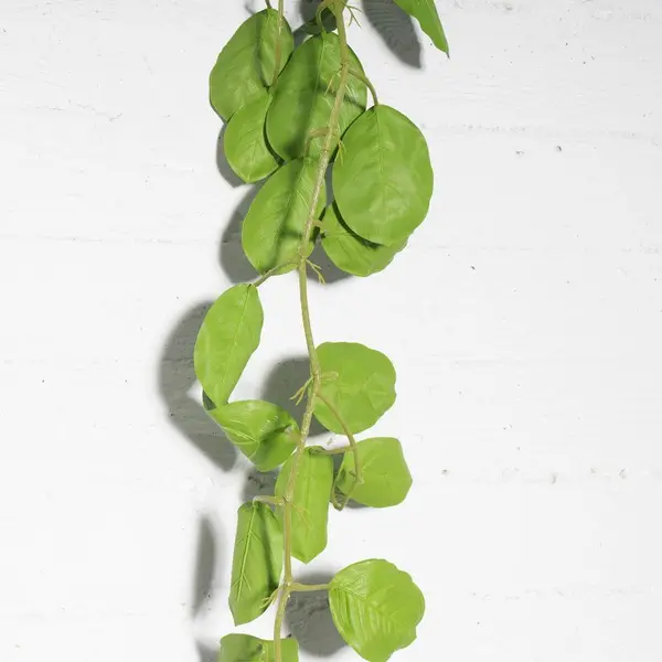 Supergreens Τεχνητή Γιρλάντα Καλαθέα "Maranta" Πράσινη 170 εκ.