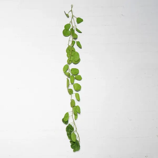 Supergreens Τεχνητή Γιρλάντα Καλαθέα "Maranta" Πράσινη 170 εκ.