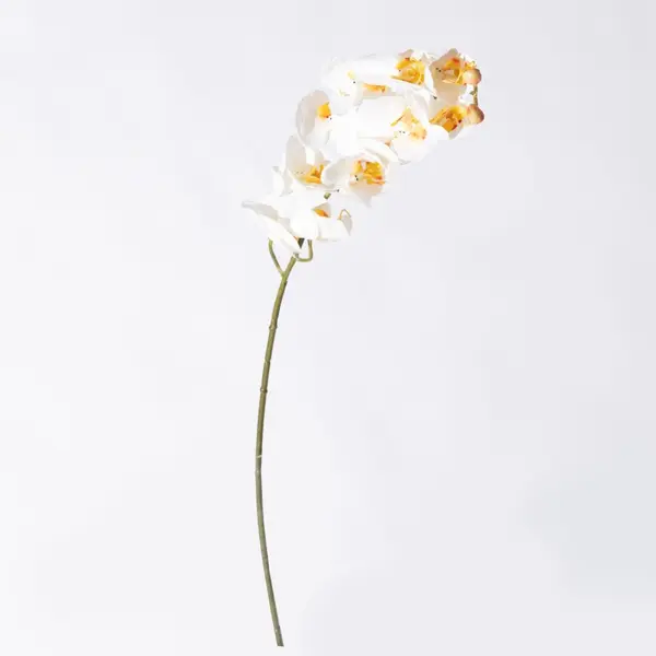 Supergreens Τεχνητό Κλωνάρι Ορχιδέα Λευκό 75 εκ.