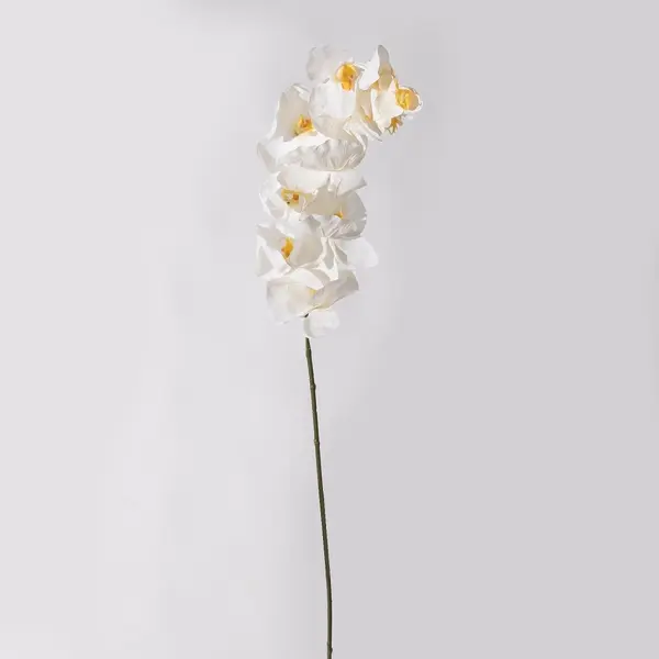 Supergreens Τεχνητό Κλωνάρι Ορχιδέα Λευκή 112 εκ.