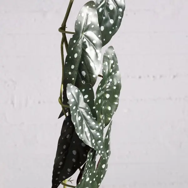 Supergreens Τεχνητή Γιρλάντα Μπιγκόνια Maculata 170 εκ.