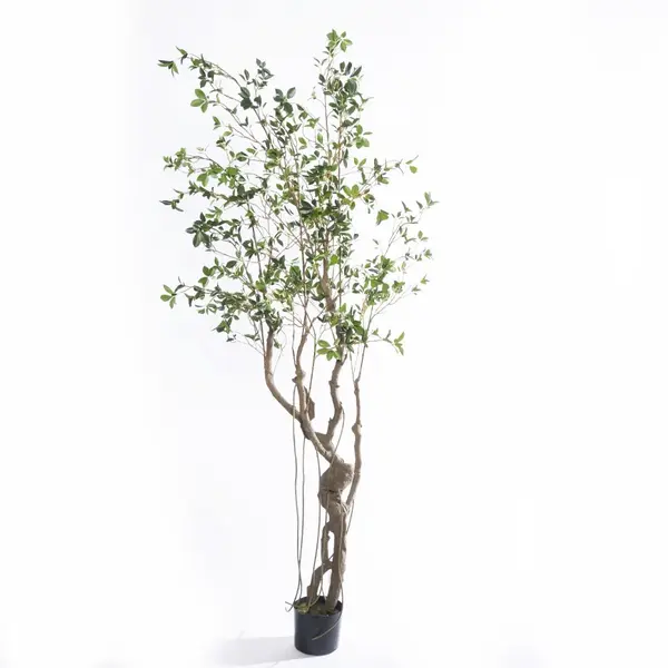 Supergreens Τεχνητό Δέντρο Φίκος Microcarpa Πράσινο 210 εκ.