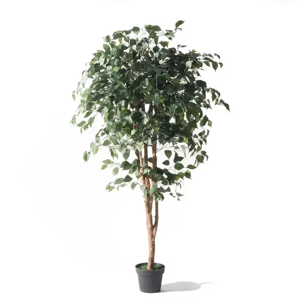 Supergreens Τεχνητό Δέντρο Φίκος Benjamin Πράσινο 165 εκ.