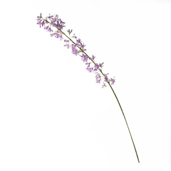 Supergreens Τεχνητό Κλωνάρι Δεύκια Λιλά 100 εκ.