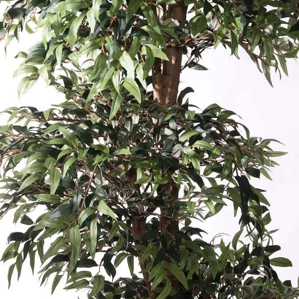 Supergreens Τεχνητό Δέντρο Ρούσκος Πράσινο 195 εκ.