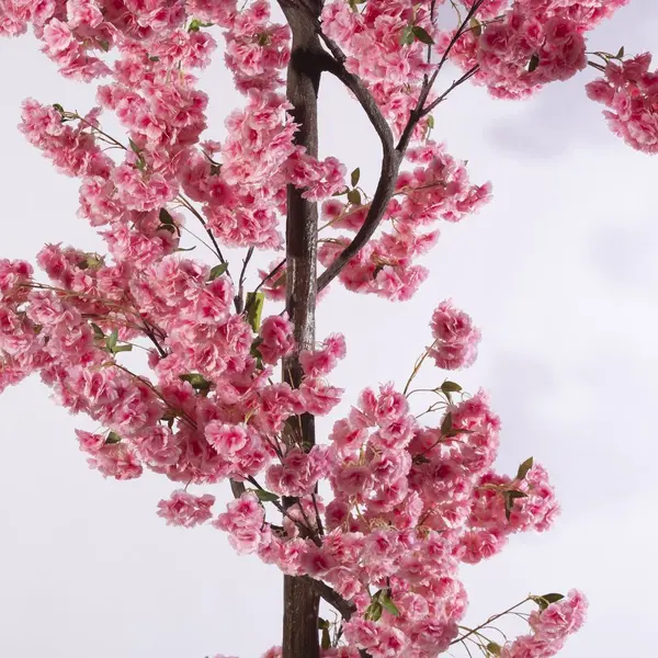 Supergreens Τεχνητό Δέντρο Αμυγδαλιά Ροζ 310 εκ.