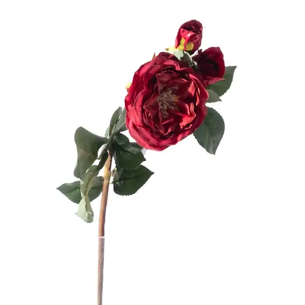 Supergreens Τεχνητό Κλωνάρι Τριαντάφυλλο Κόκκινο 61 εκ.