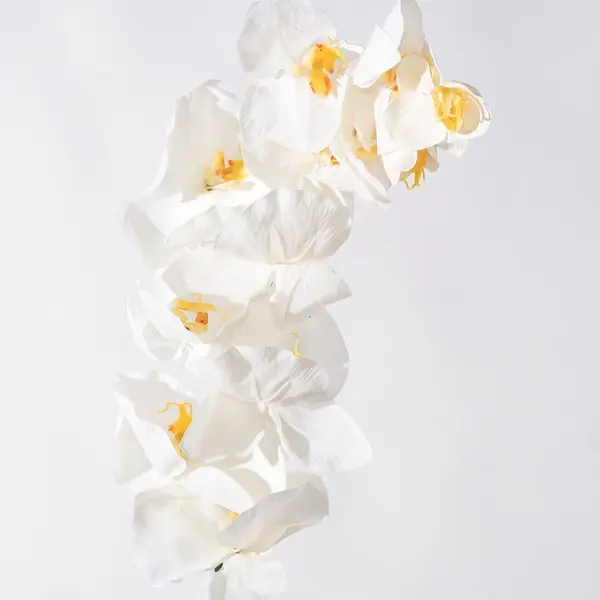 Supergreens Τεχνητό Κλωνάρι Ορχιδέα Λευκή 112 εκ.