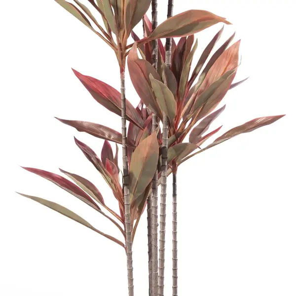 Supergreens Τεχνητο Δέντρο Δράκαινα "Cordyline" Καφέ 175 εκ.