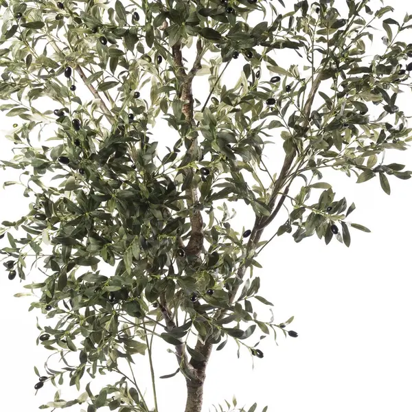 Supergreens Τεχνητό Δέντρο Ελιά "Pendolino" Πράσινο 210 εκ.