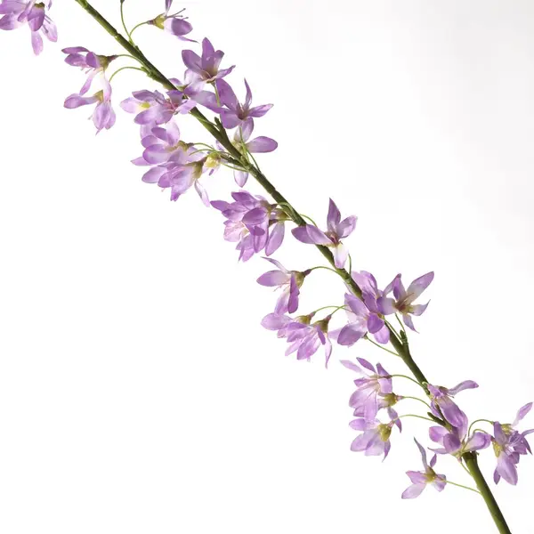 Supergreens Τεχνητό Κλωνάρι Δεύκια Λιλά 100 εκ.