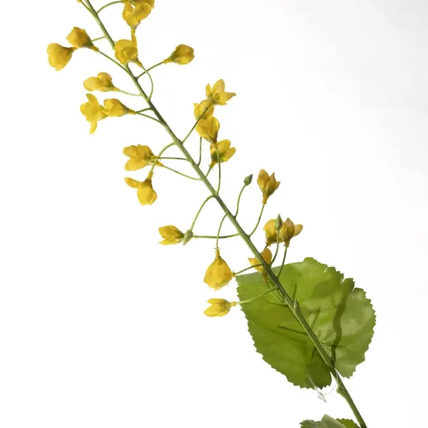 Supergreens Τεχνητό Κλωνάρι Καμπανούλα Κίτρινο 70 εκ.