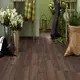 Δάπεδο Laminate My Floor Villa M1221 Pettersson Eiche Dunkel