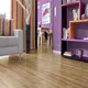 Δάπεδο Laminate My Floor Cottage Tormes Oak MV895