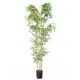 BAMBOO  NP5801_180_22_UV  ΥΨΟΣ 180cm NewPlan
