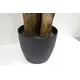 BANANA TREE NP6327_180_22  ΥΨΟΣ 180cm NewPlan