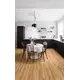 Βινυλική Λωρίδα LVT ROOTS 40 DRY 24837 Classic Oak