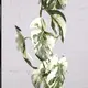 Supergreens Tεχνητή Γιρλάντα Μονστέρα Albo Variegata 120 εκ.