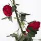Supergreens Τεχνητή Γιρλάντα Τριαντάφυλλο Garden Κόκκινη 240 εκ.