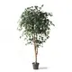 Supergreens Τεχνητό Δέντρο Φίκος Benjamin Πράσινο 165 εκ.