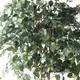 Supergreens Τεχνητό Δέντρο Φίκος Benjamin Πράσινο 165 εκ.