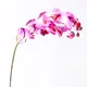 Supergreens Τεχνητό Κλωνάρι Ορχιδέα Φούξια 75 εκ.