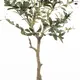 Supergreens Τεχνητό Δέντρο Ελιά "Ascolano" Πράσινο 120 εκ.