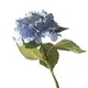 Supergreens Τεχνητό Κλωνάρι Ορτανσία Μπλε 48 εκ.