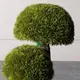 Supergreens UV Τεχνητό Δέντρο Μπονσάι Moss ''Mushroom'' Τριπλό Πράσινο 70 εκ.