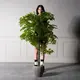 Supergreens UV Τεχνητό Δέντρο Φίκος Πράσινο 120 εκ.